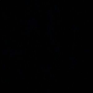 Meet your Posher, Betsy